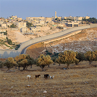 palestine-mur-honte