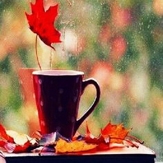 automne-amour-humeur