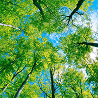 environnement-campagne