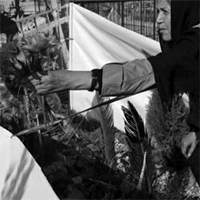 mere-martyr-terrorisme