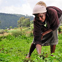 sexism-anti-women-humiliation