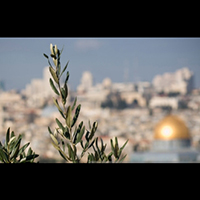 jerusalem-poem-nostalgia
