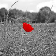 feelings-alone-thoughts