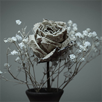 mort-amour-nostalgie