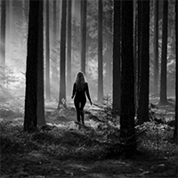 perdue-pensees-ecriture