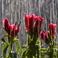 reflexions-amour