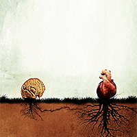 dialogue-coeur-cerveau