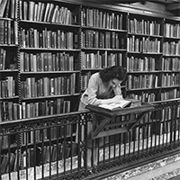 intello-philosophe-amour