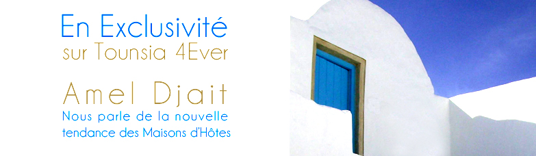 slide-Amel-djait