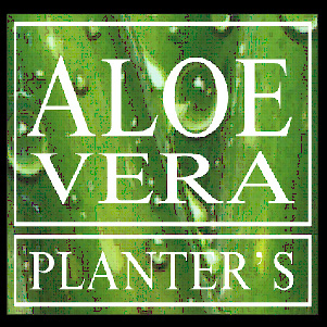 panters-tunisie-aloe-vera